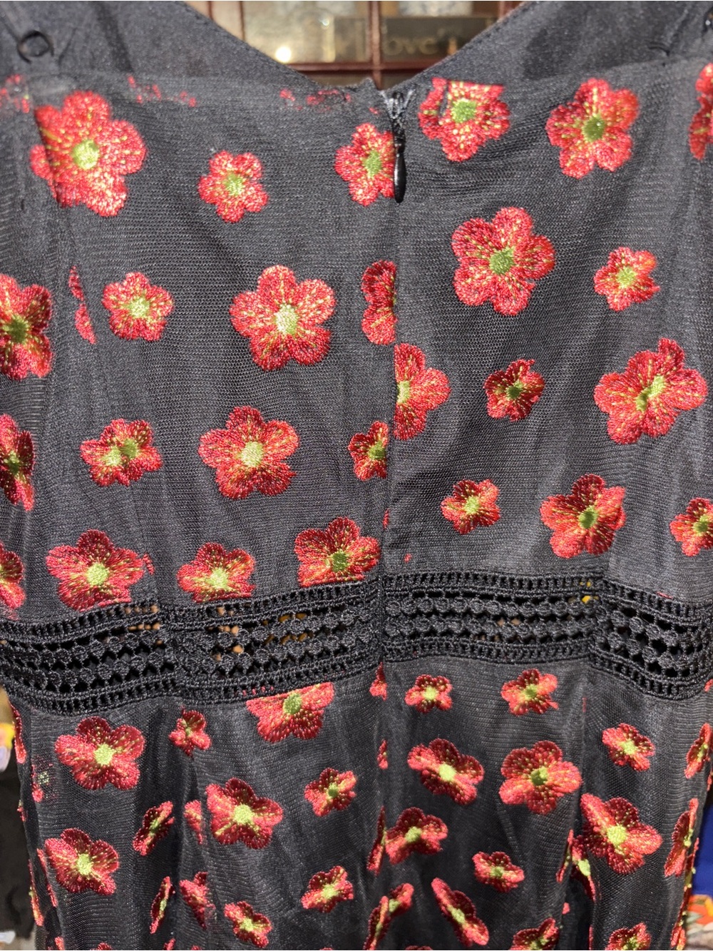 BB Dakota Black Dress with Red Floral Embroidery - Picture 8 of 9